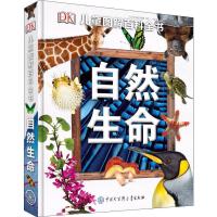啟迪童心，點亮未來——少兒期刊的出版與使命